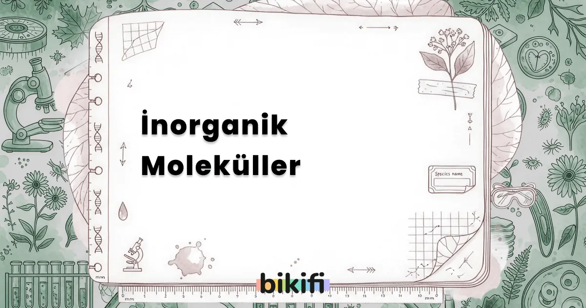 İnorganik Moleküller