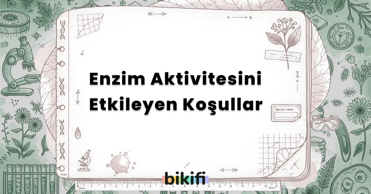 Enzim Aktivitesini Etkileyen Koşullar