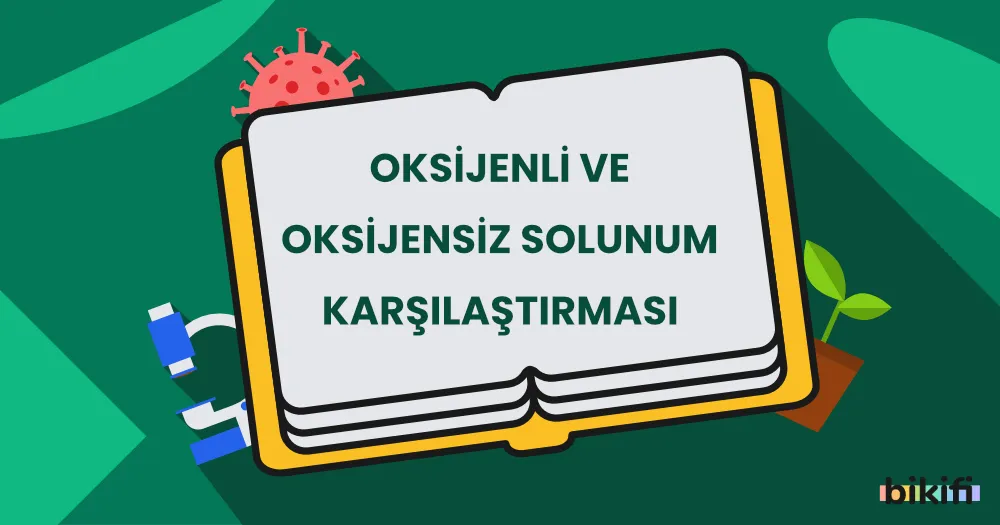 Oksijenli ve Oksijensiz Solunum Karşılaştırması