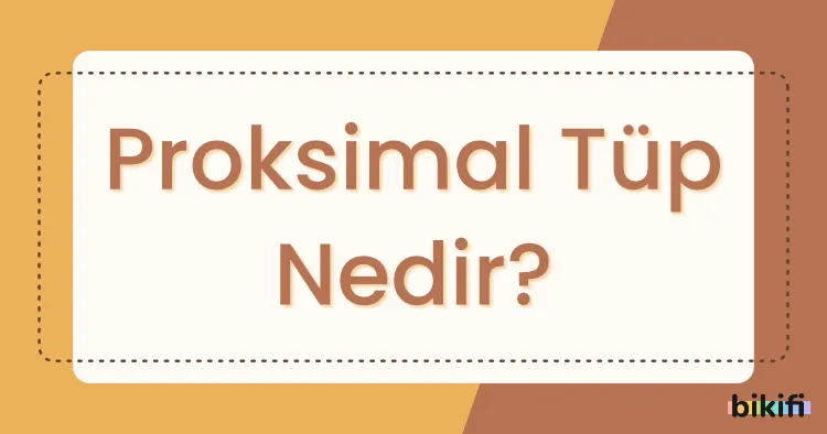 Proksimal Tüp Nedir?