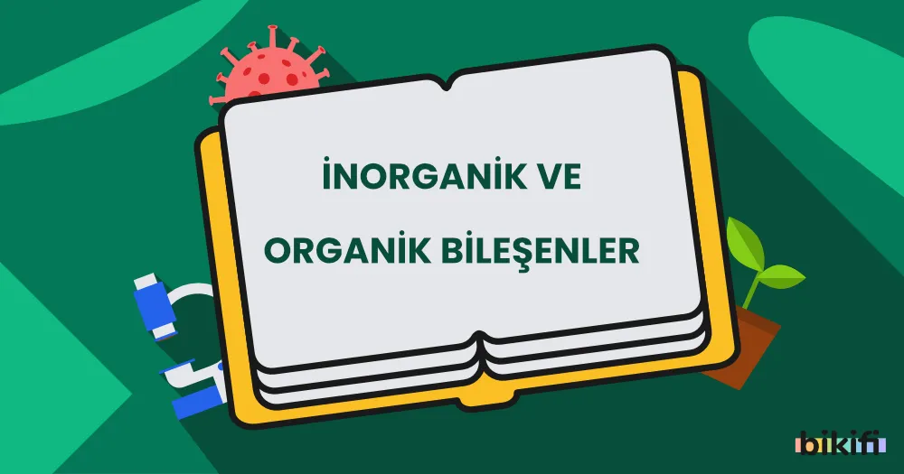 Canlıların Temel Bileşenleri: İnorganik ve Organik Bileşenler