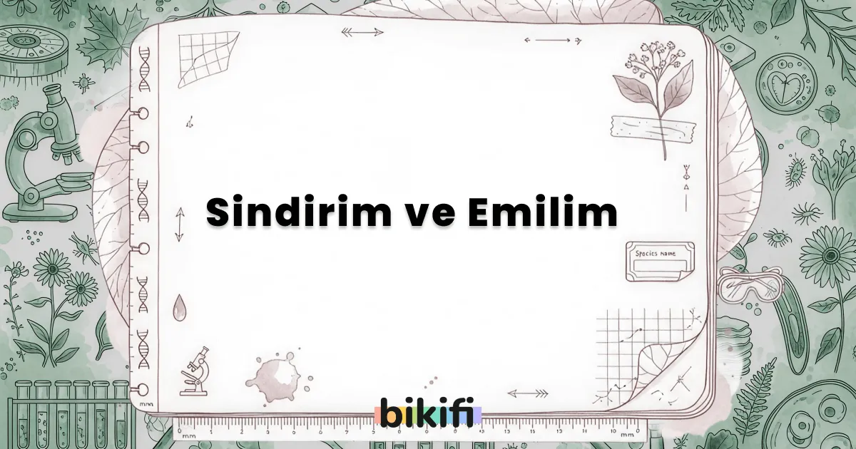 Sindirim ve Emilim