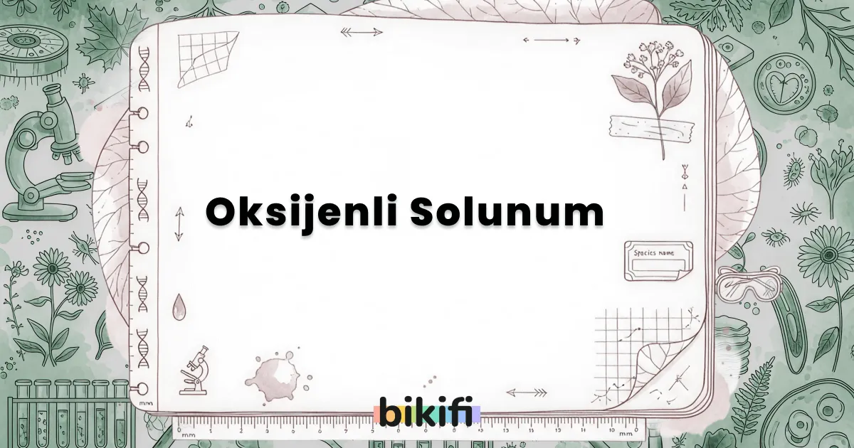Oksijenli Solunum