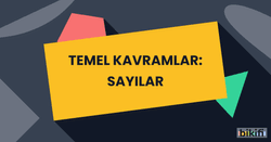 Temel Kavramlar: Sayılar - Bikifi