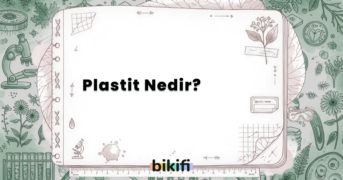 Plastit Nedir?