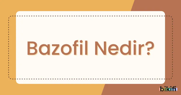 Bazofil Nedir?