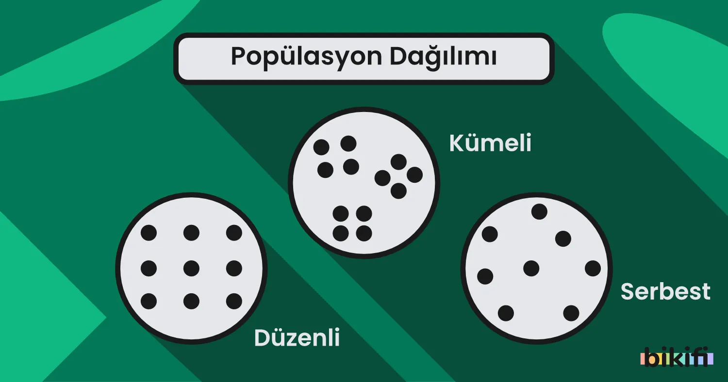 11. Sınıf Komünite ve Popülasyon Ekolojisi