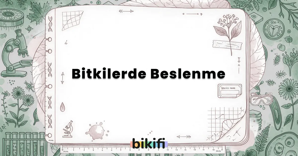 Bitkilerde Beslenme