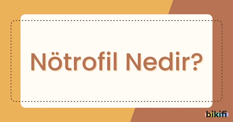 Nötrofil Nedir?