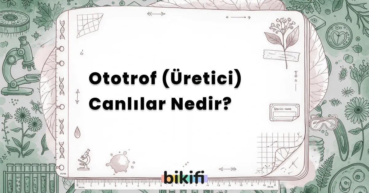 Ototrof (Üretici) Canlılar Nedir?