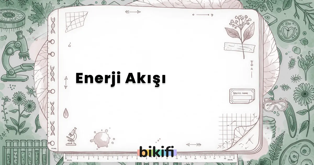 Enerji Akışı