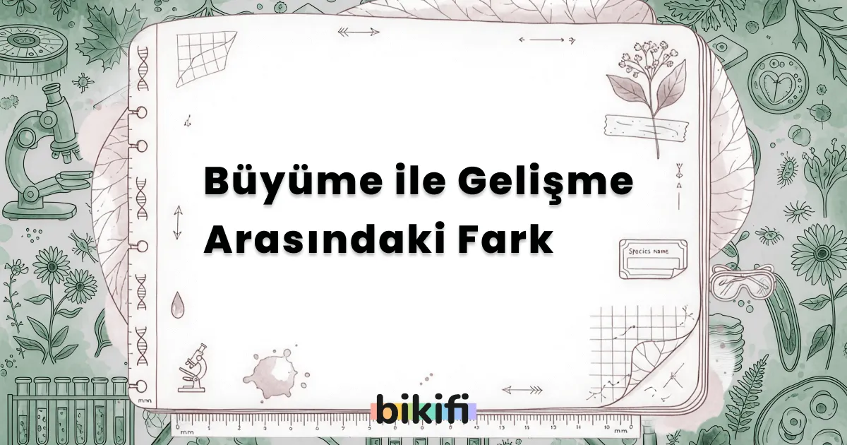 Büyüme ile Gelişme Arasındaki Fark