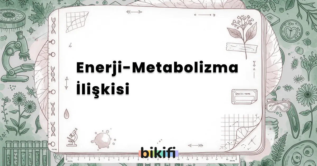 Enerji-Metabolizma İlişkisi