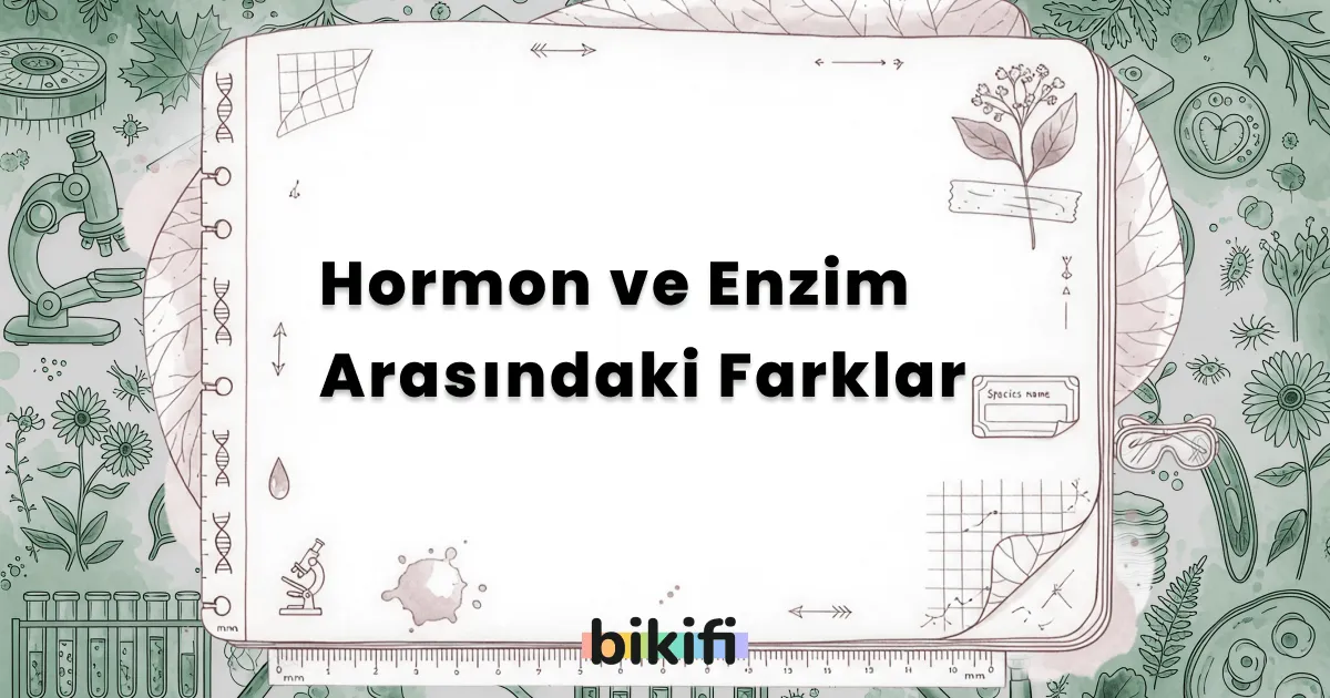 Hormon ve Enzim Arasındaki Farklar