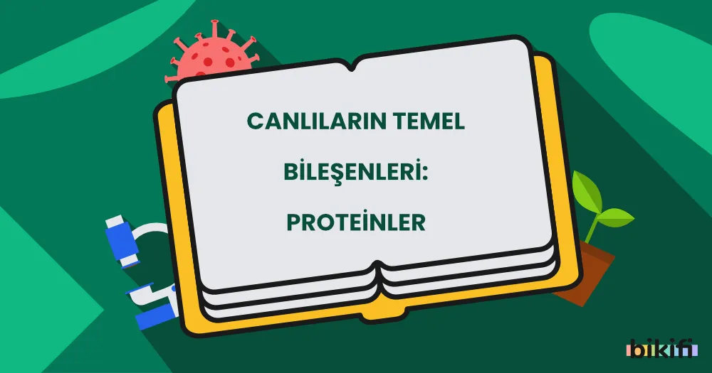 Canlıların Temel Bileşenleri: Proteinler