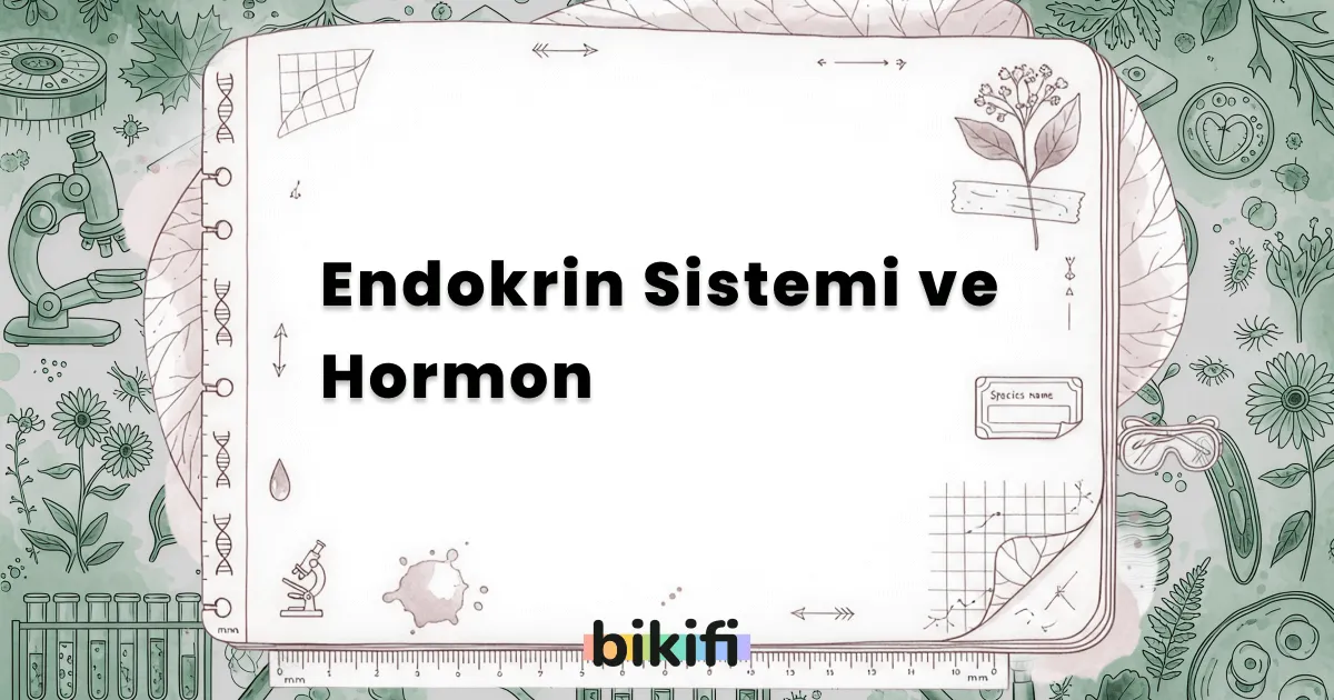 Endokrin Sistemi ve Hormon