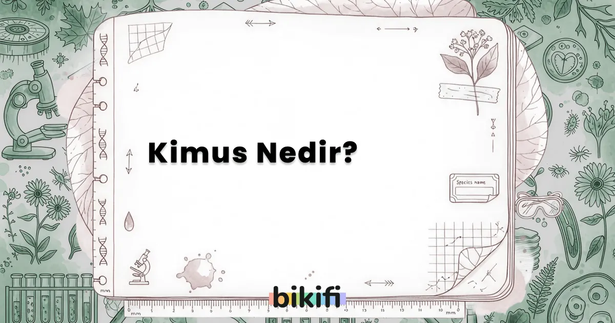 Kimus Nedir?