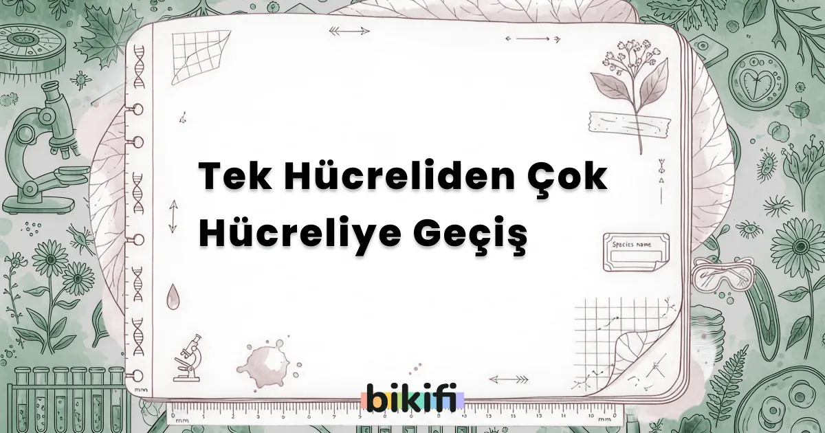 Tek Hücreliden Çok Hücreliye Geçiş