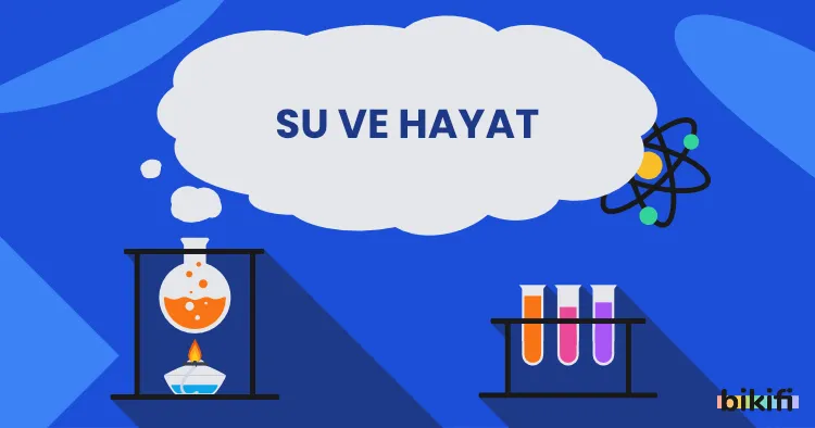 Su ve Hayat